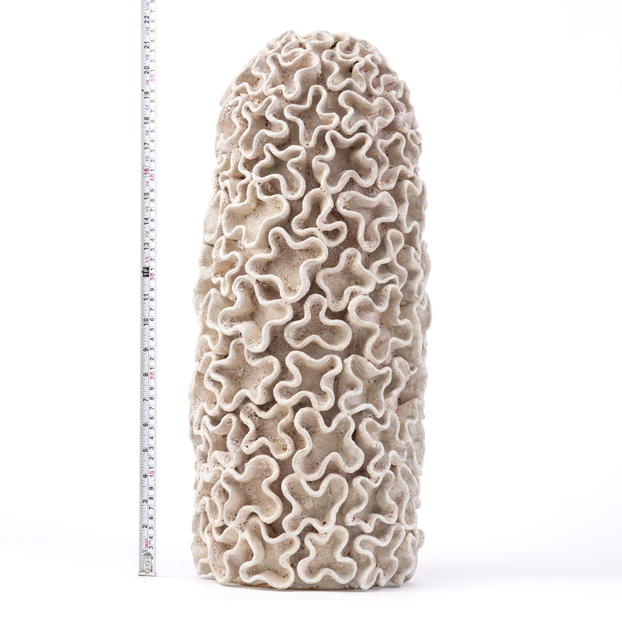 Lana Ceramics 37